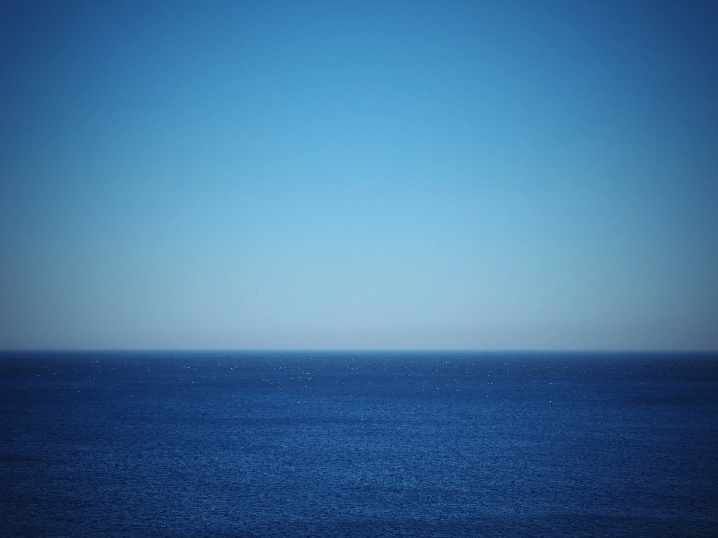 IMG_1354.jpeg