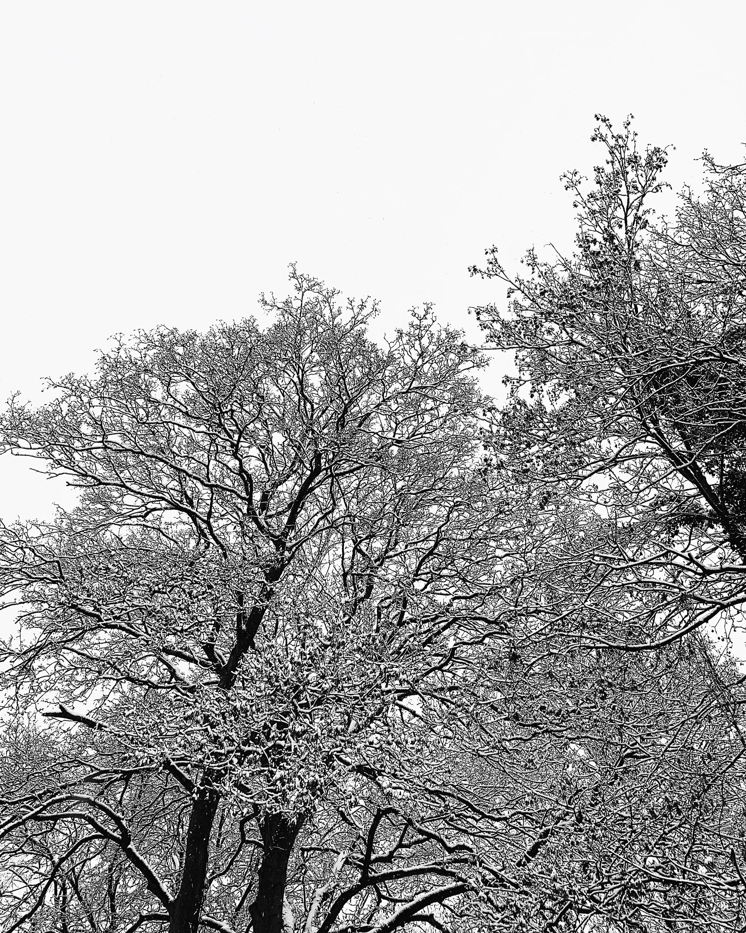 IMG_3128-1.jpeg