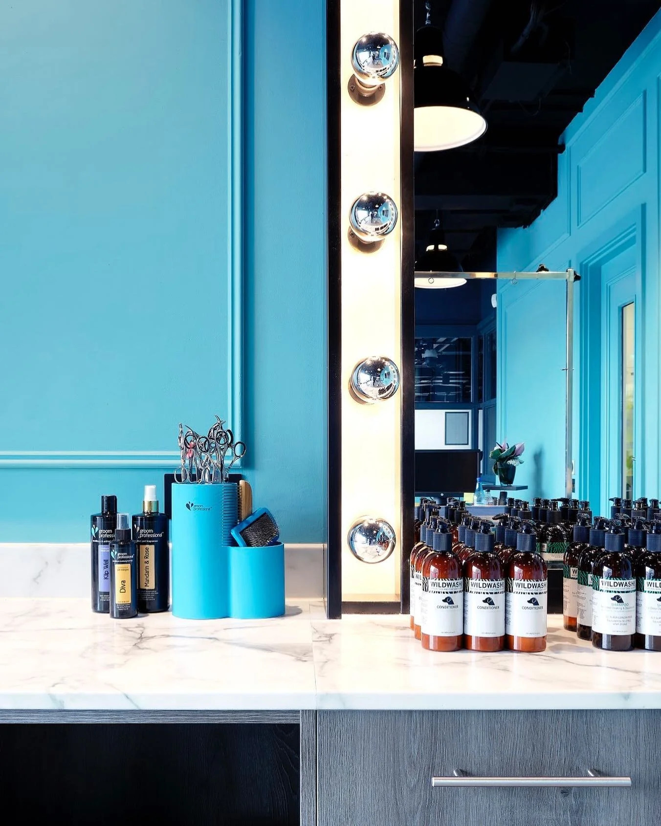 Grooming parlour at Wylie Wellness Centre, designed by KLMAN Architects