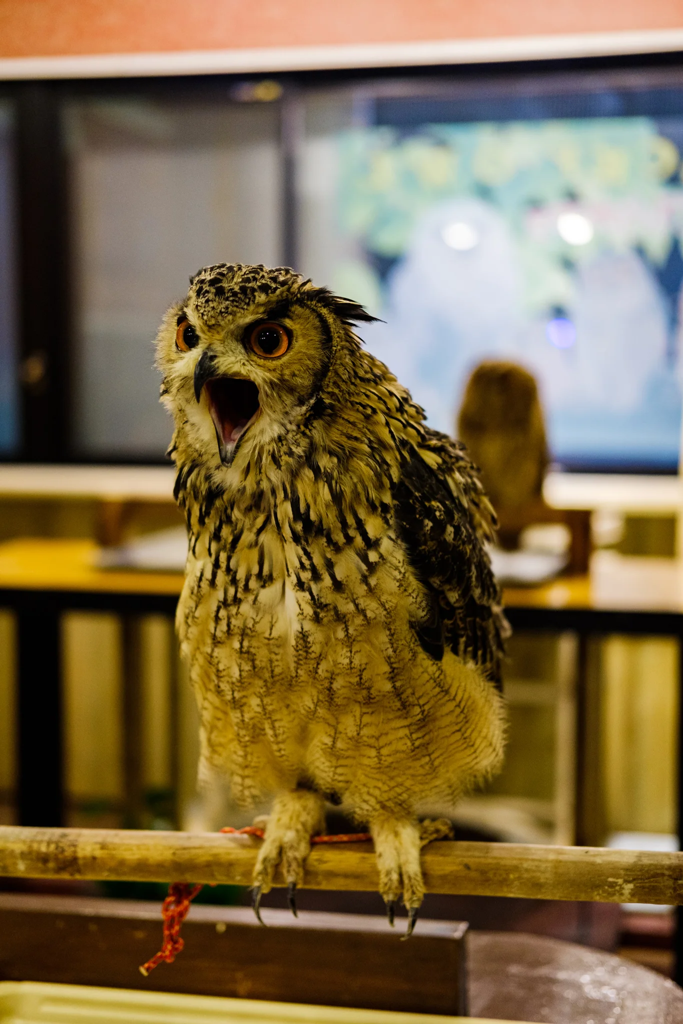 *yawn*