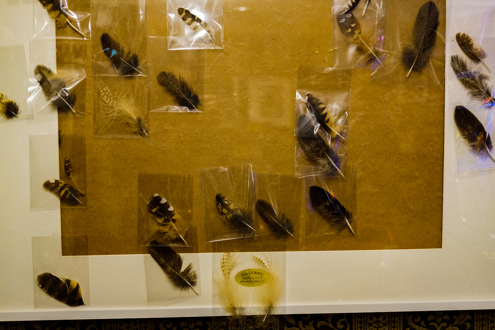 Collection of feathers that you can actually purchase