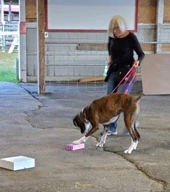 Tony Gravley Workshop