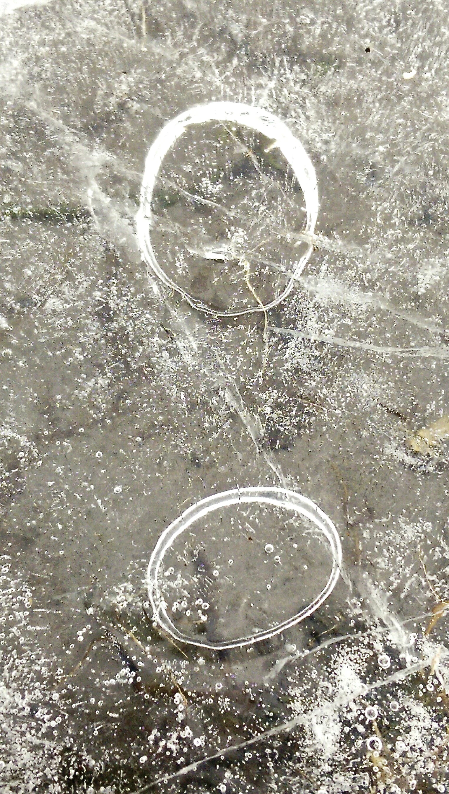 imag7786_1.jpg