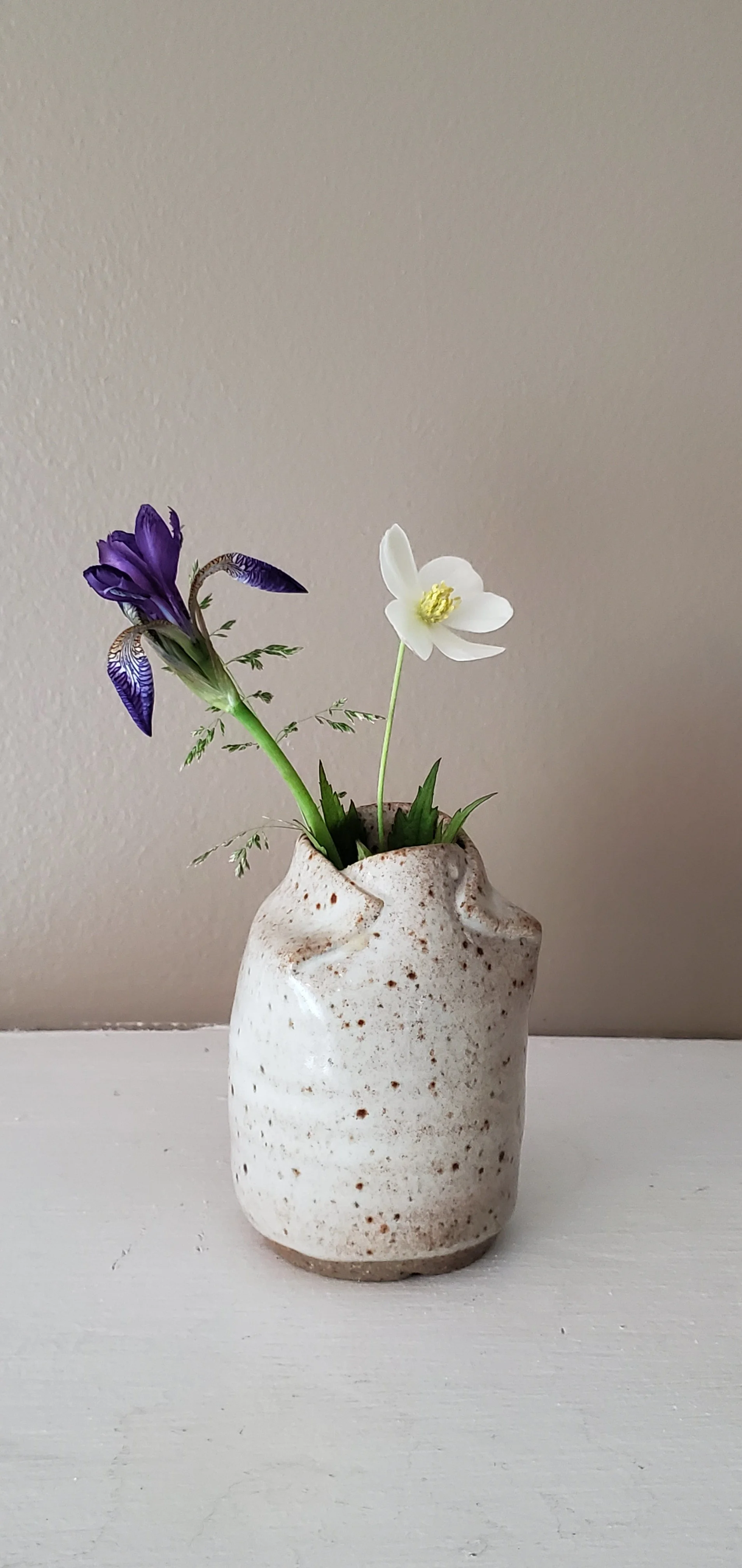 20190615_081802.jpg