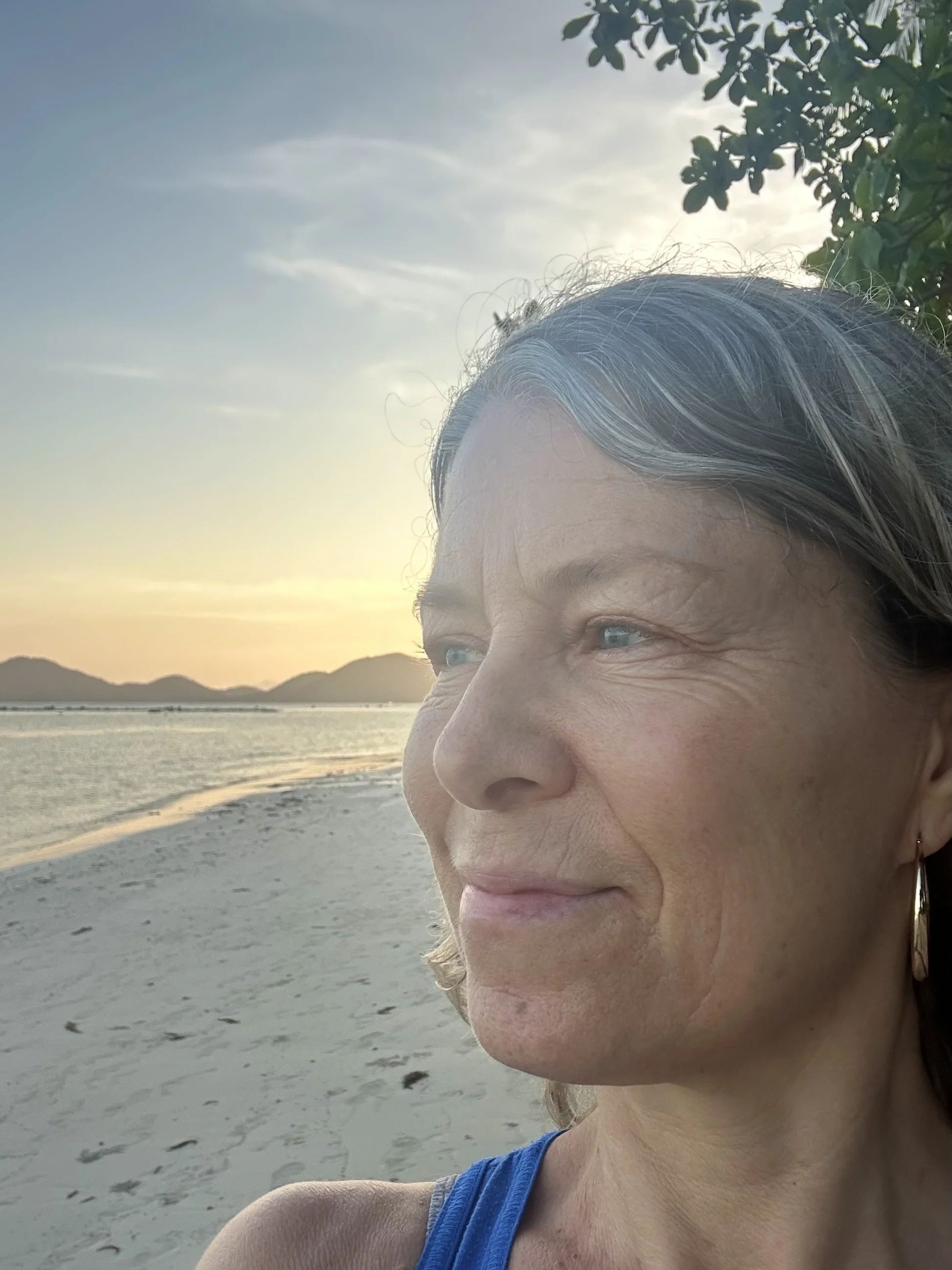 Endnu en ny begyndelse