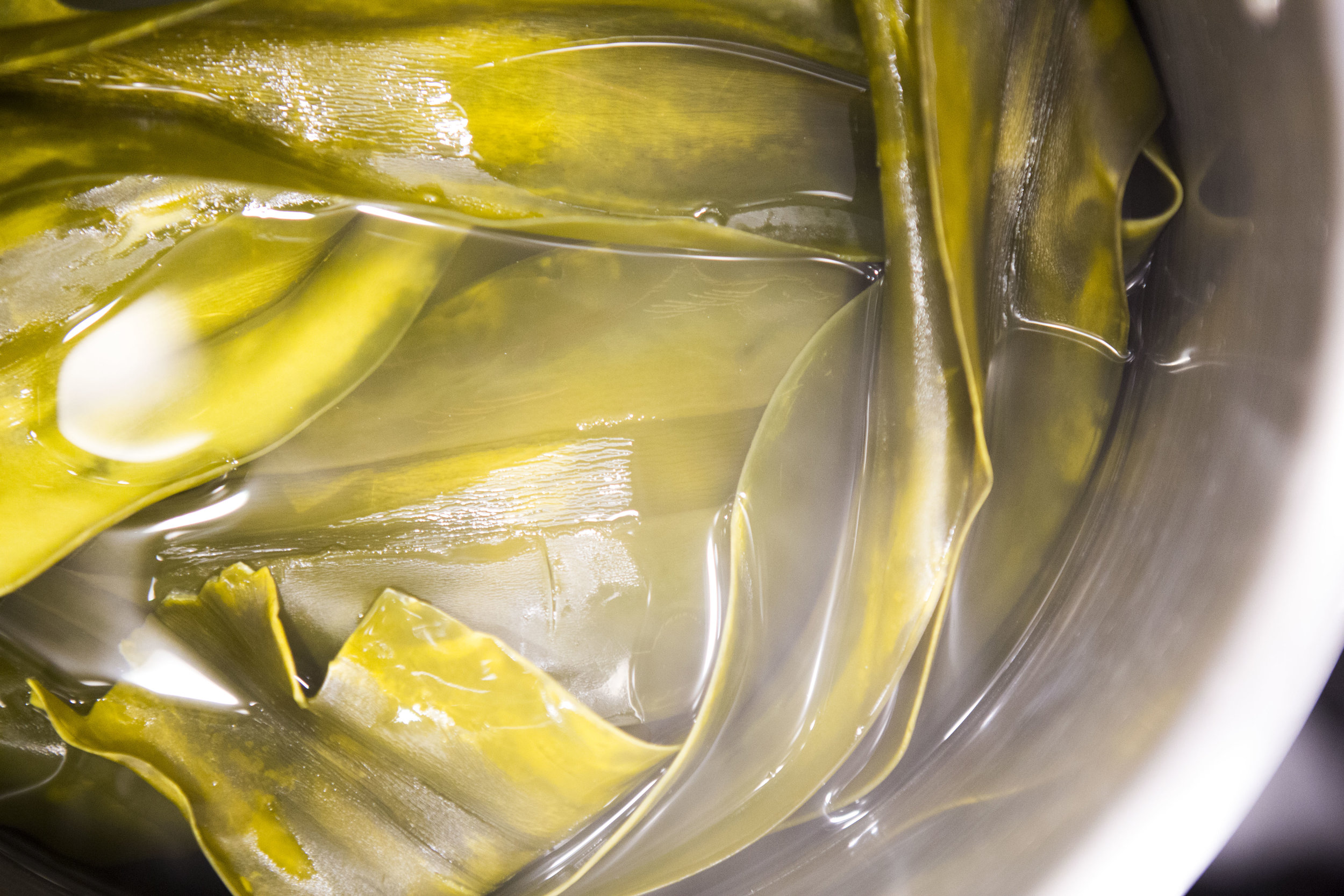  I love making Kombu Dashi and when I see this I’m like, “I have to take a shot and share it” because what nature gives us is beautiful. 