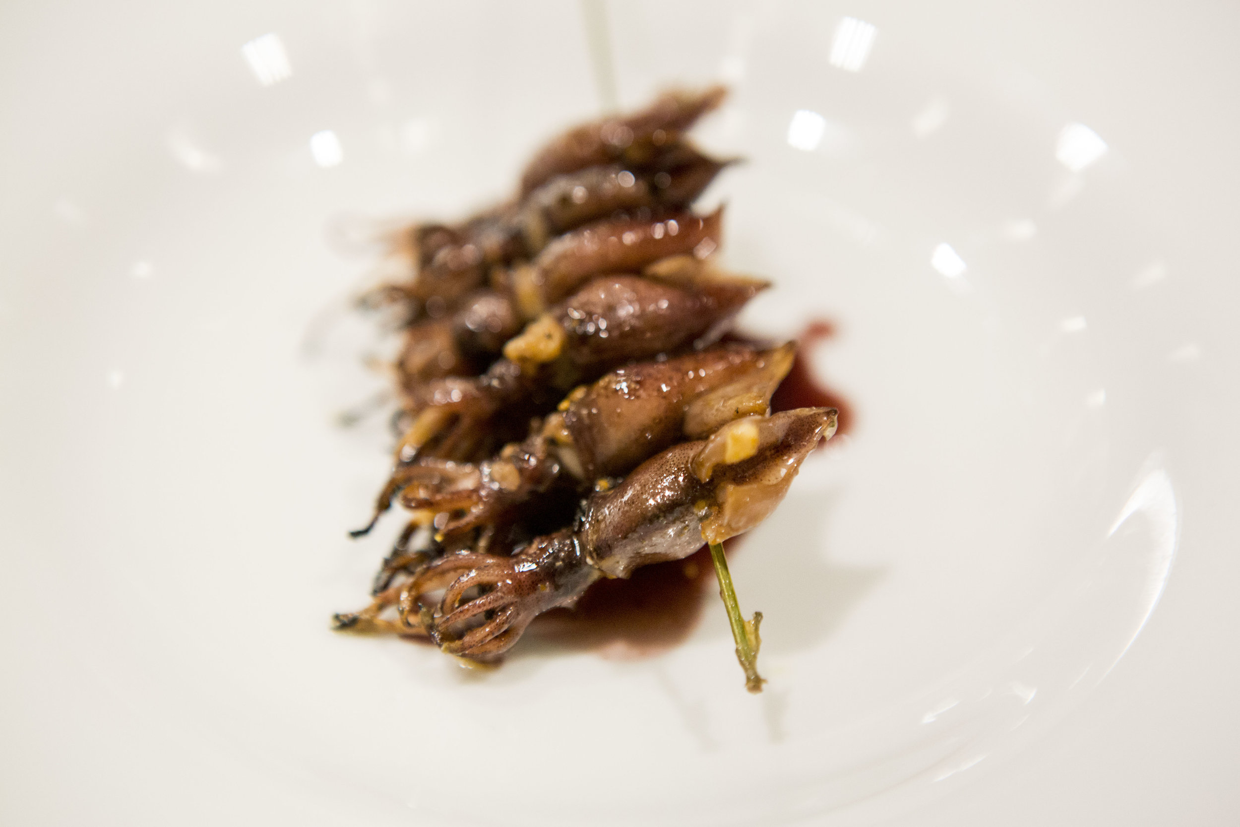 japanese baby squid.JPG