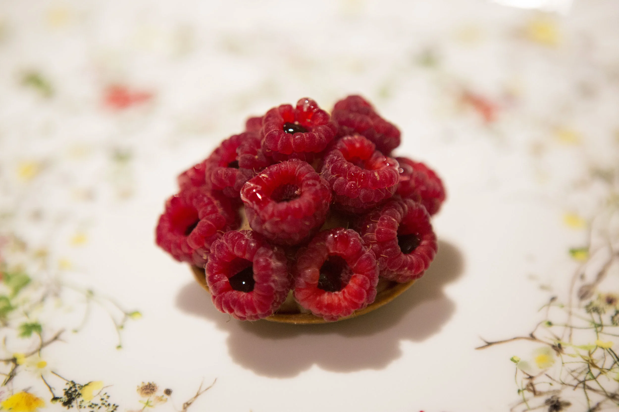 raspberry tart.JPG