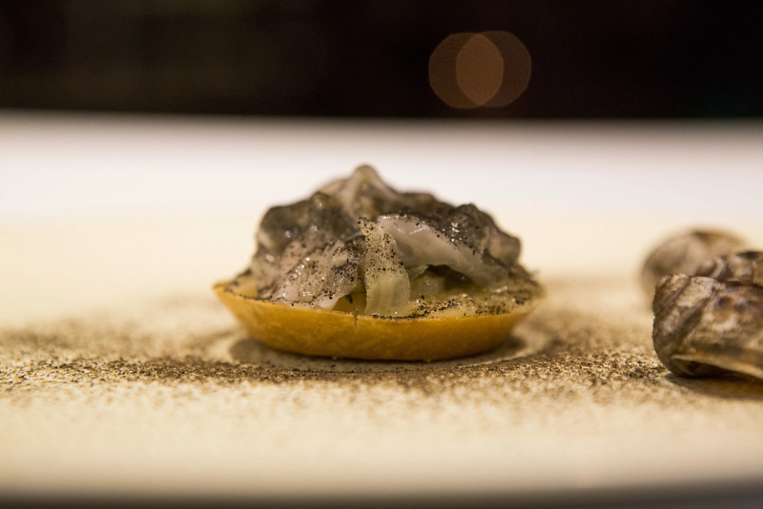 snail sauhaukraut lardo.JPG