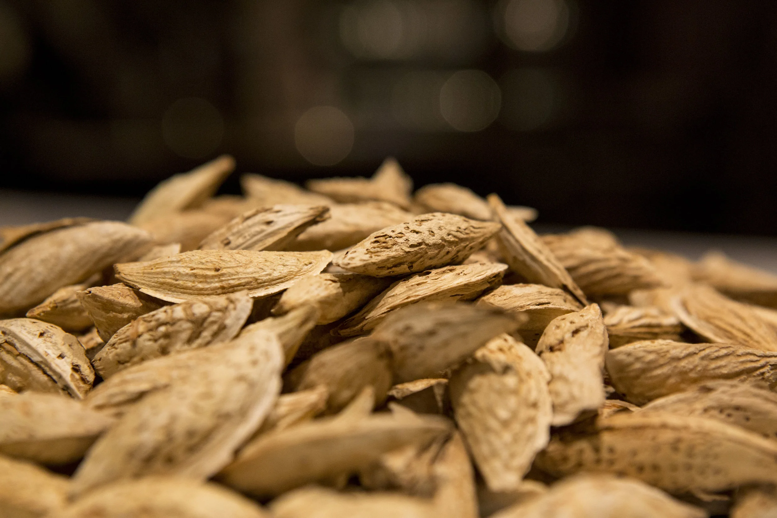 SoftShell Almond.JPG