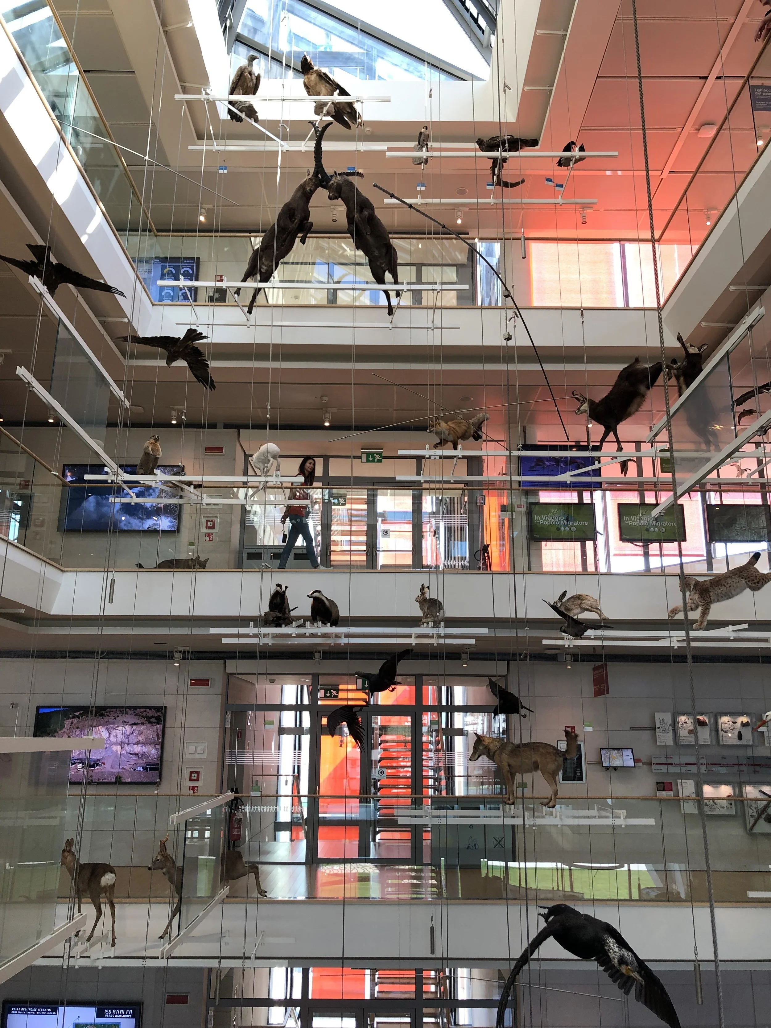 Installazione di Multitouch presso MUSE - Museo delle Scienze di Trento