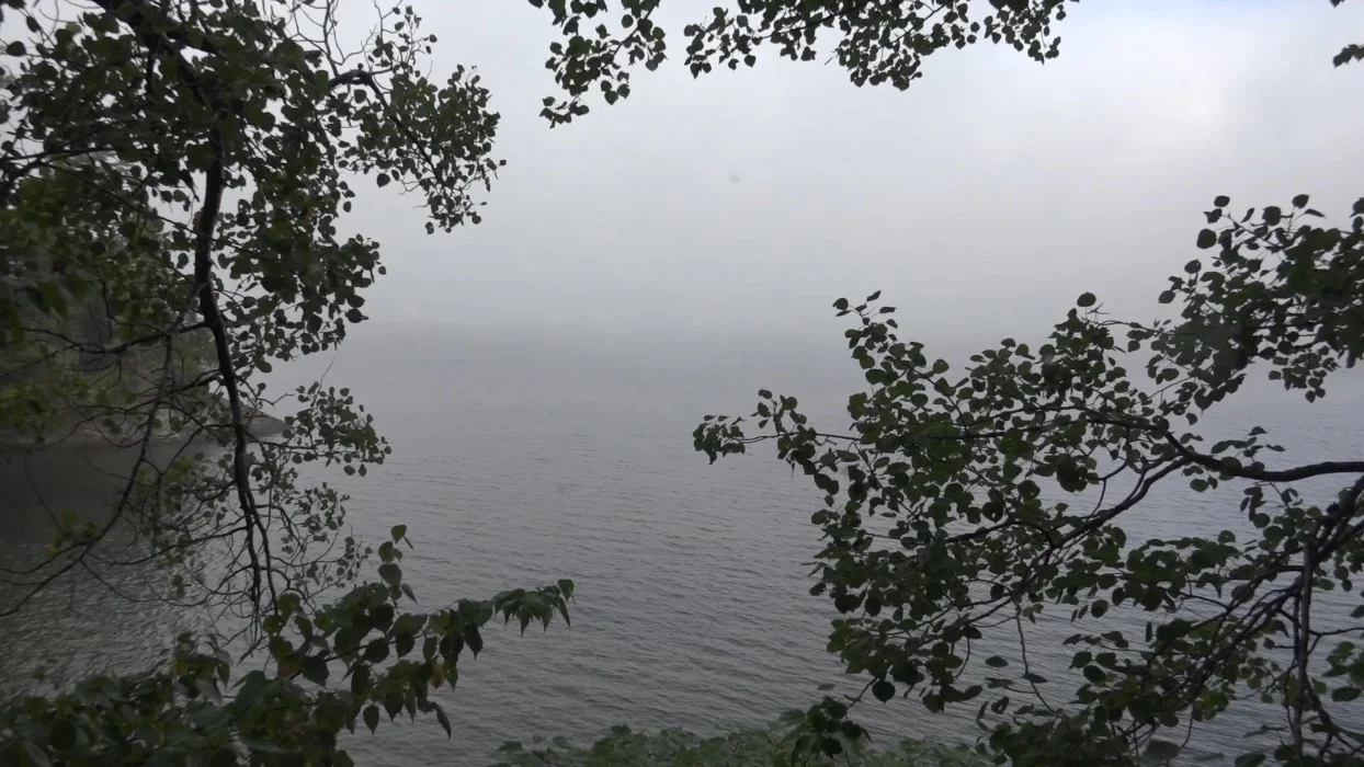 Traversee.jpeg