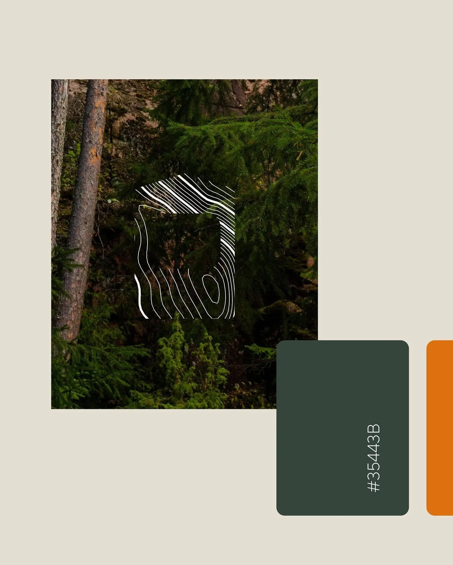 Relief, elevation, contours. The visual identity echoes the language of nature. Organic lines that reflect the landscapes guiding each new Altitude location. 🌲 #topography #naturedesign #visualstorytelling