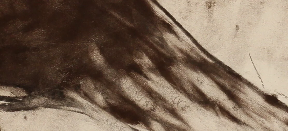 charcoal texture deeper.jpeg