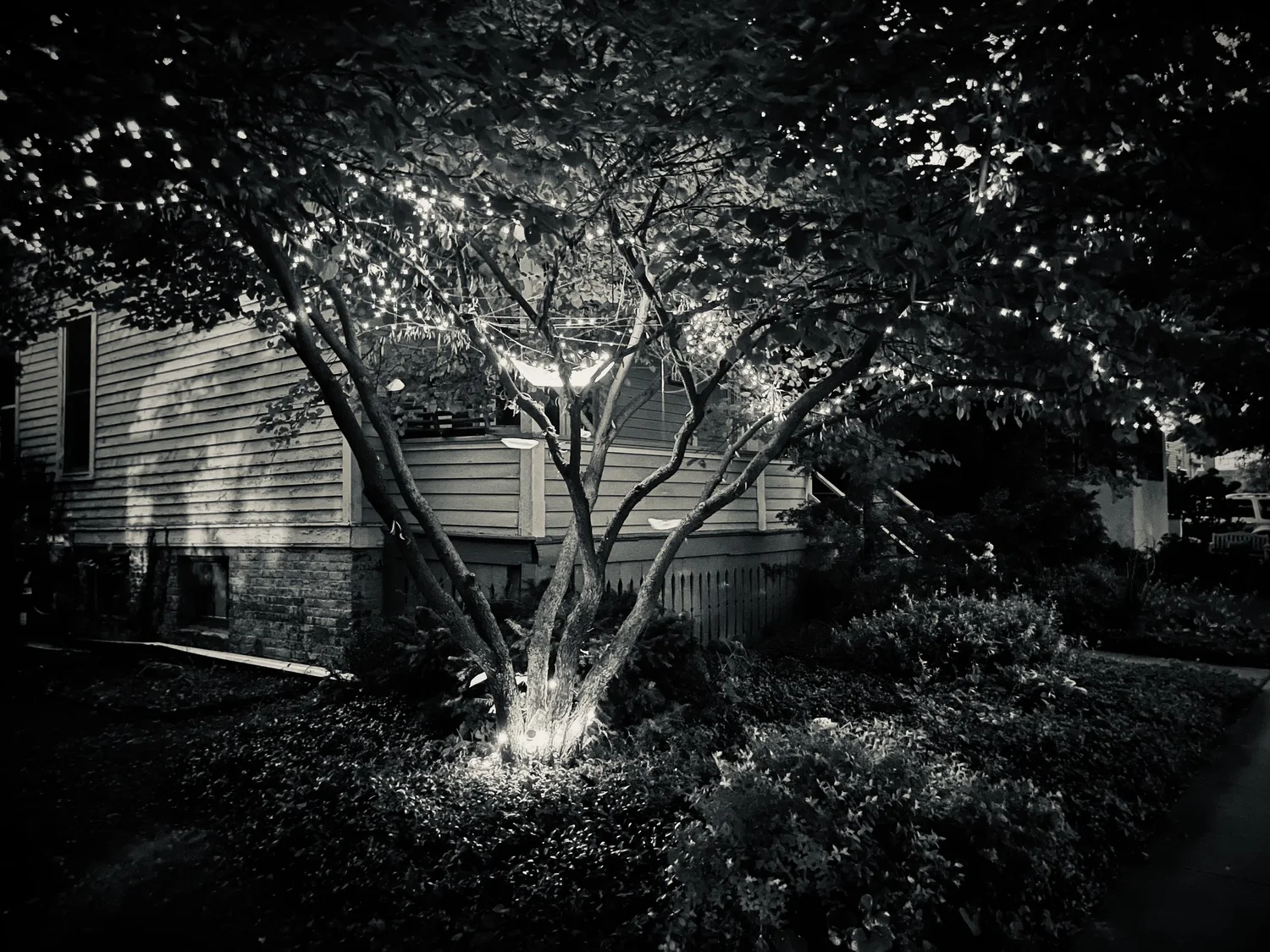 Vigil Installation Alice George 2022 — Alice George