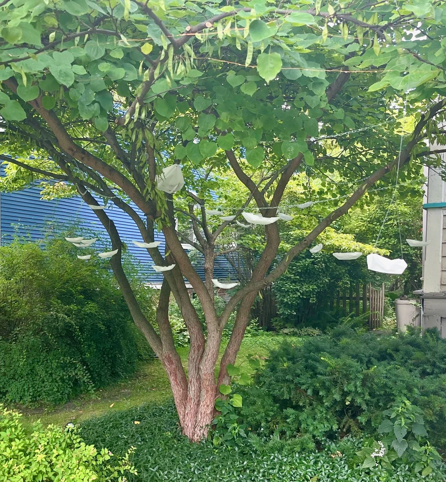 Vigil Installation Alice George 2022 — Alice George