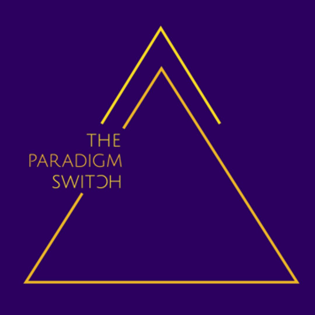 Paradigm Switch.png
