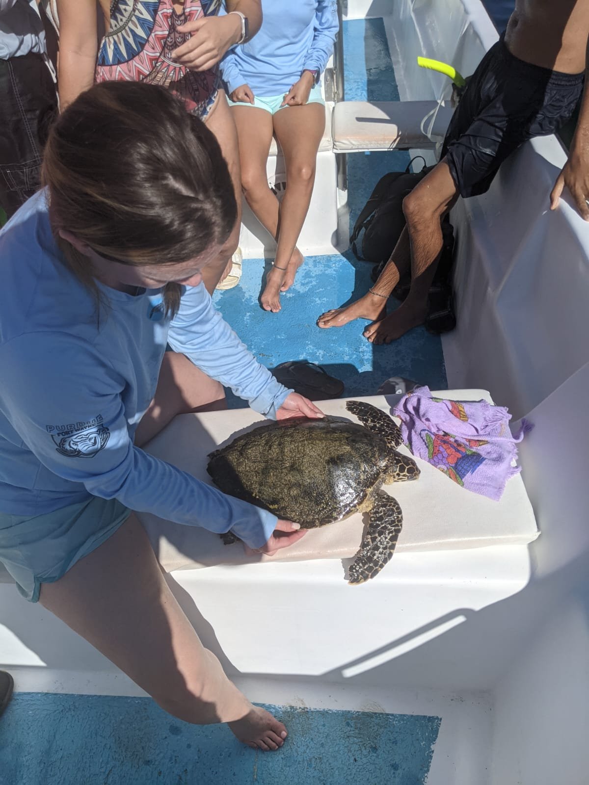 Equipo Tora Carey: A Model for Community-Led Conservation