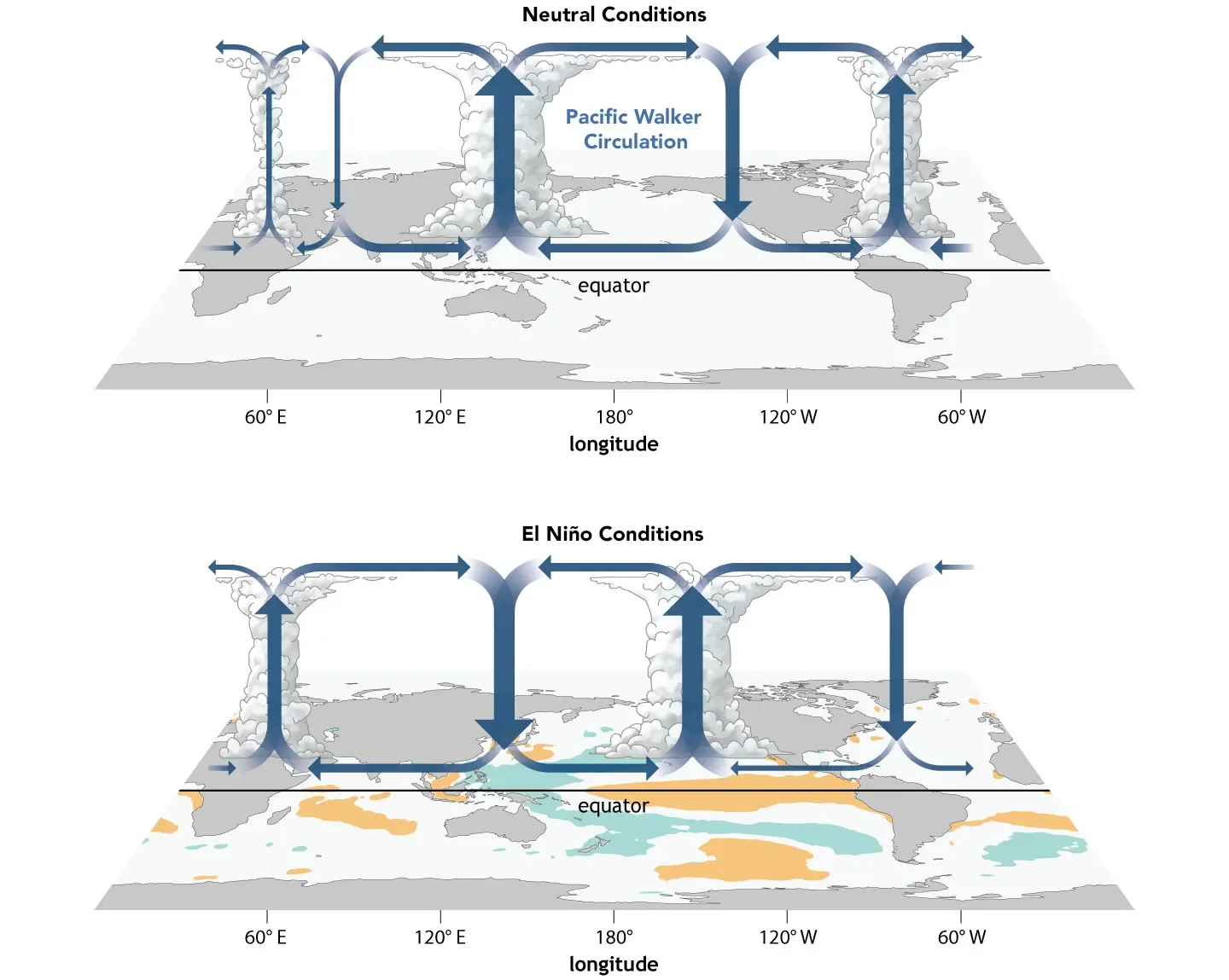 El Nino and what it means for the Americas
