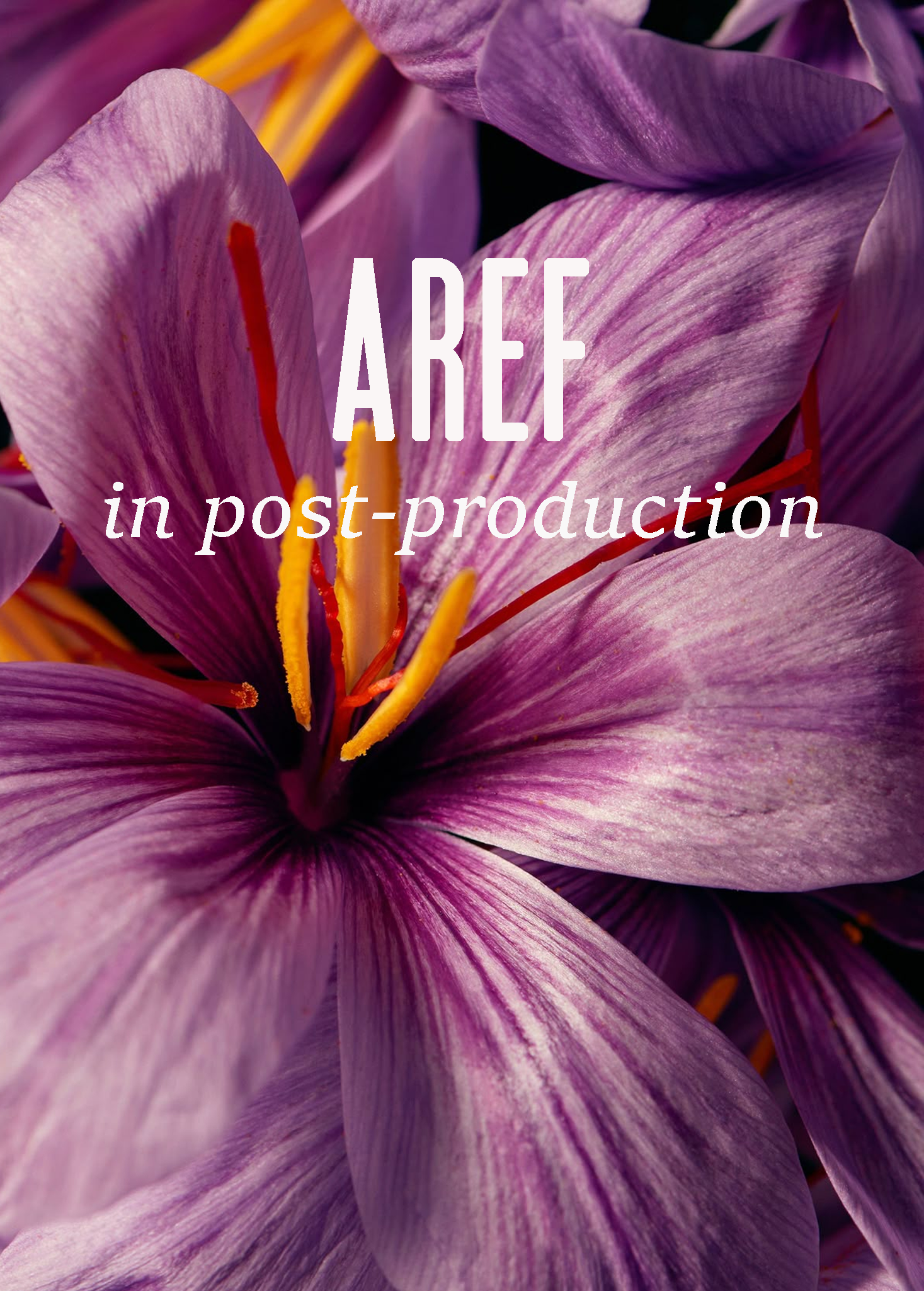 AREF