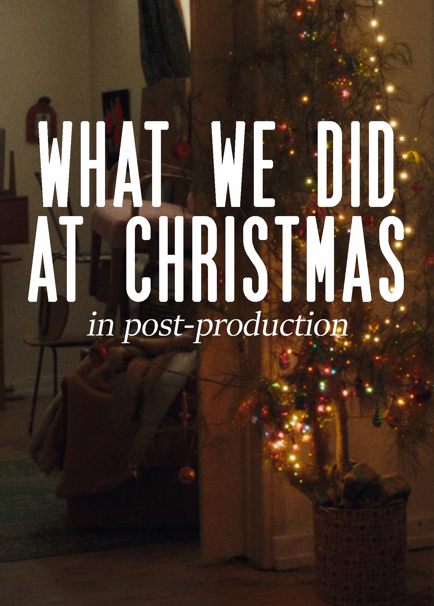 What We Did at Christmas