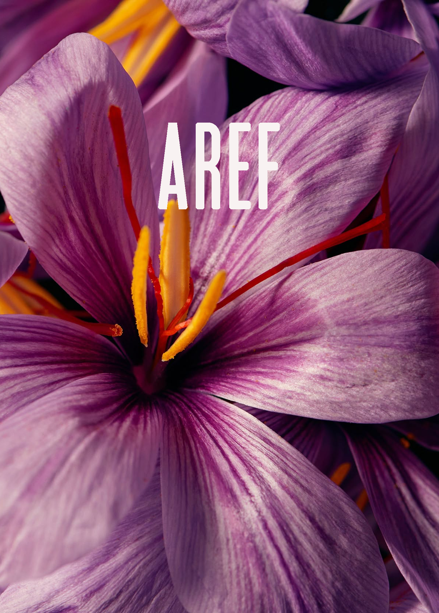 AREF