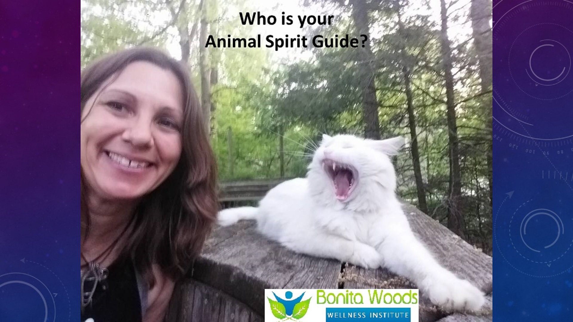 Animal banner.jpg