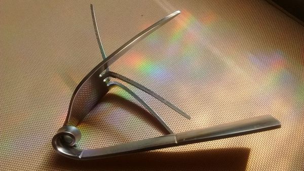 fork 1.jpeg