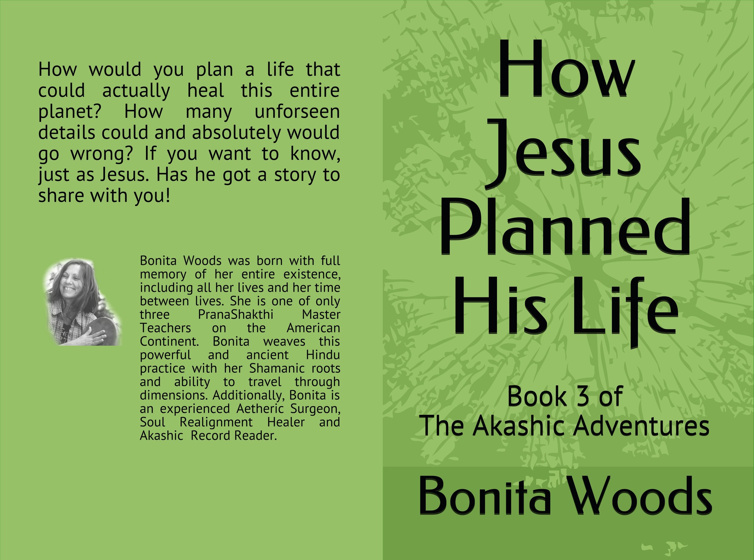 Bonita's book cover front and back.jpg