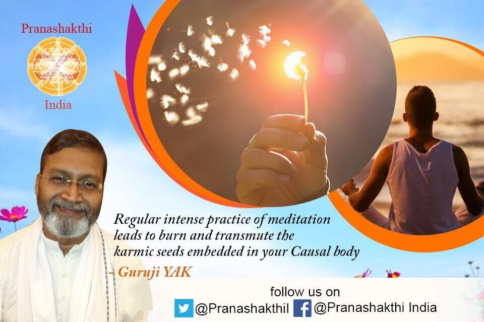 4/12, 10 AM - 4 PM: PranaShakthi Fountain of Youth with Guruji Arun