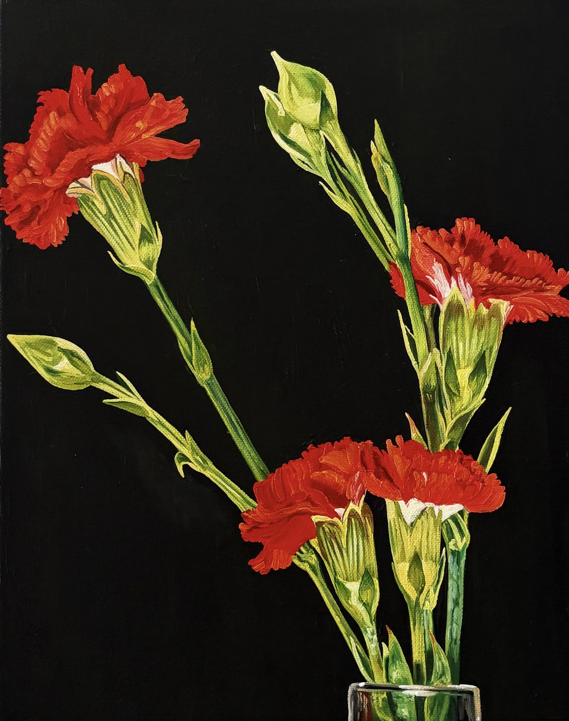 night carnations