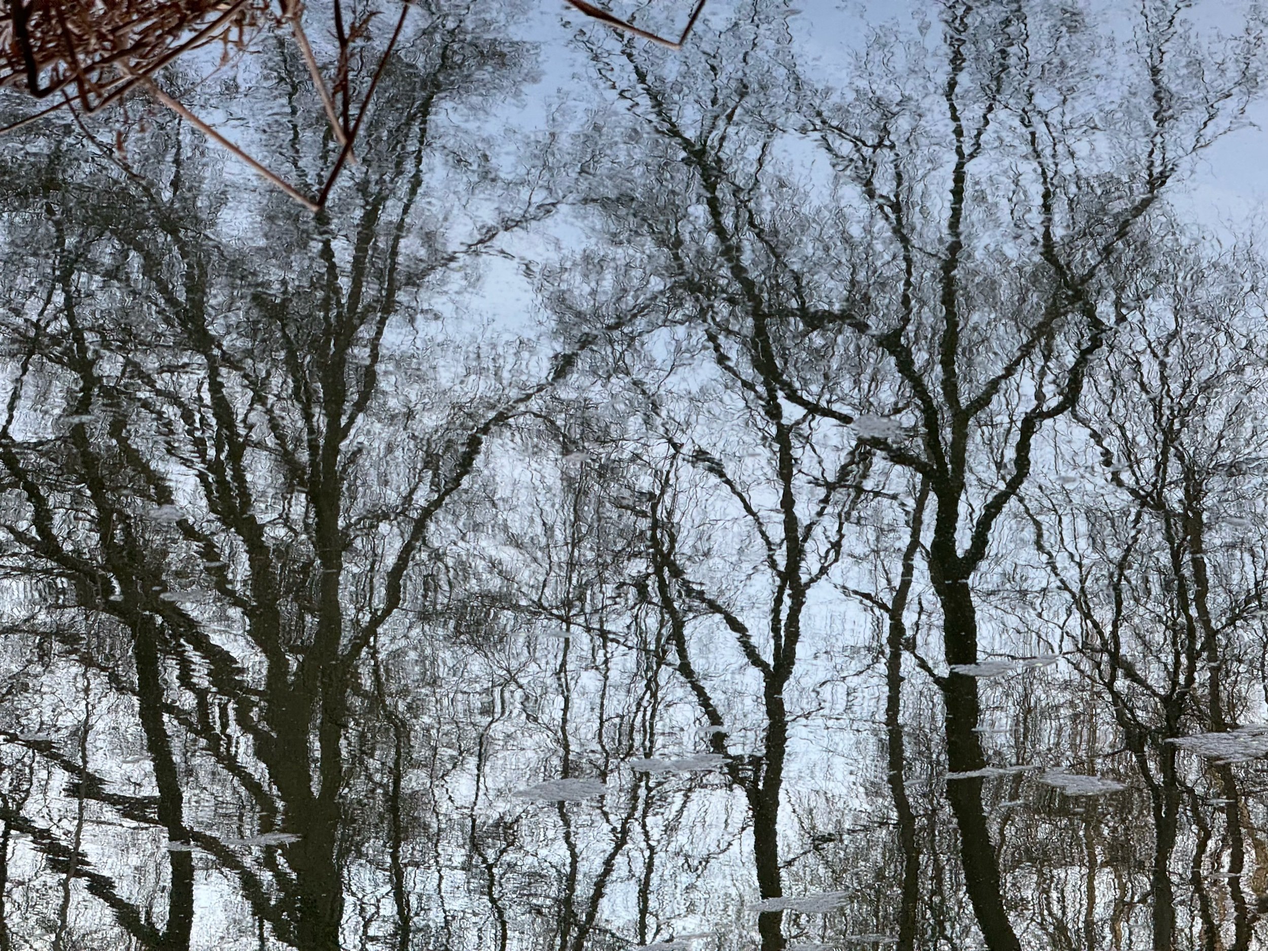 Reflection