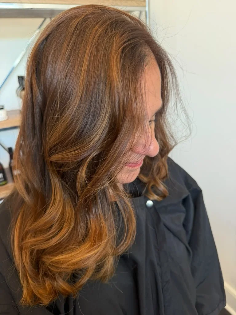 Caramel Highlights on Brunette hair