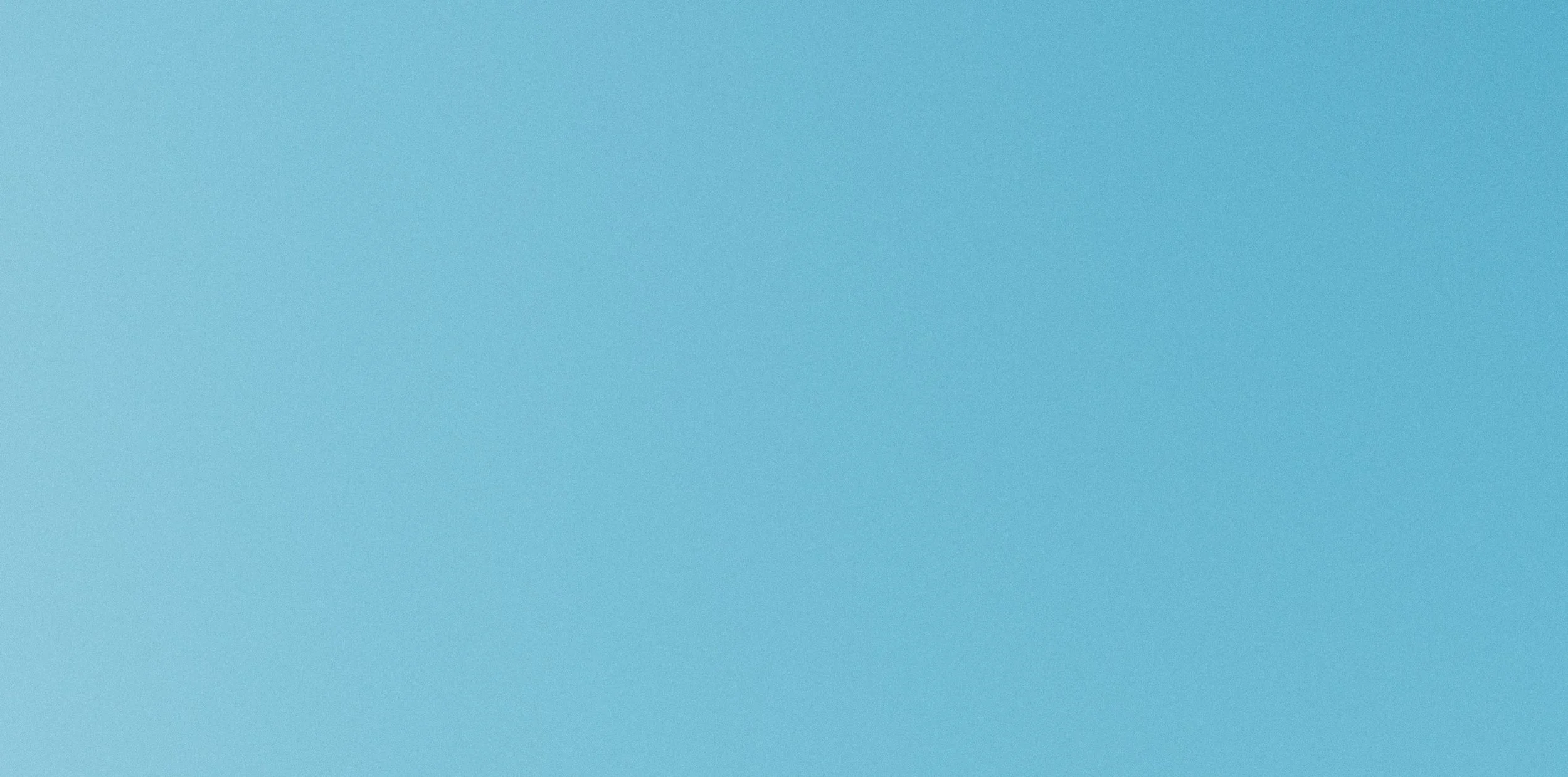 lemur-357437-unsplash.jpg