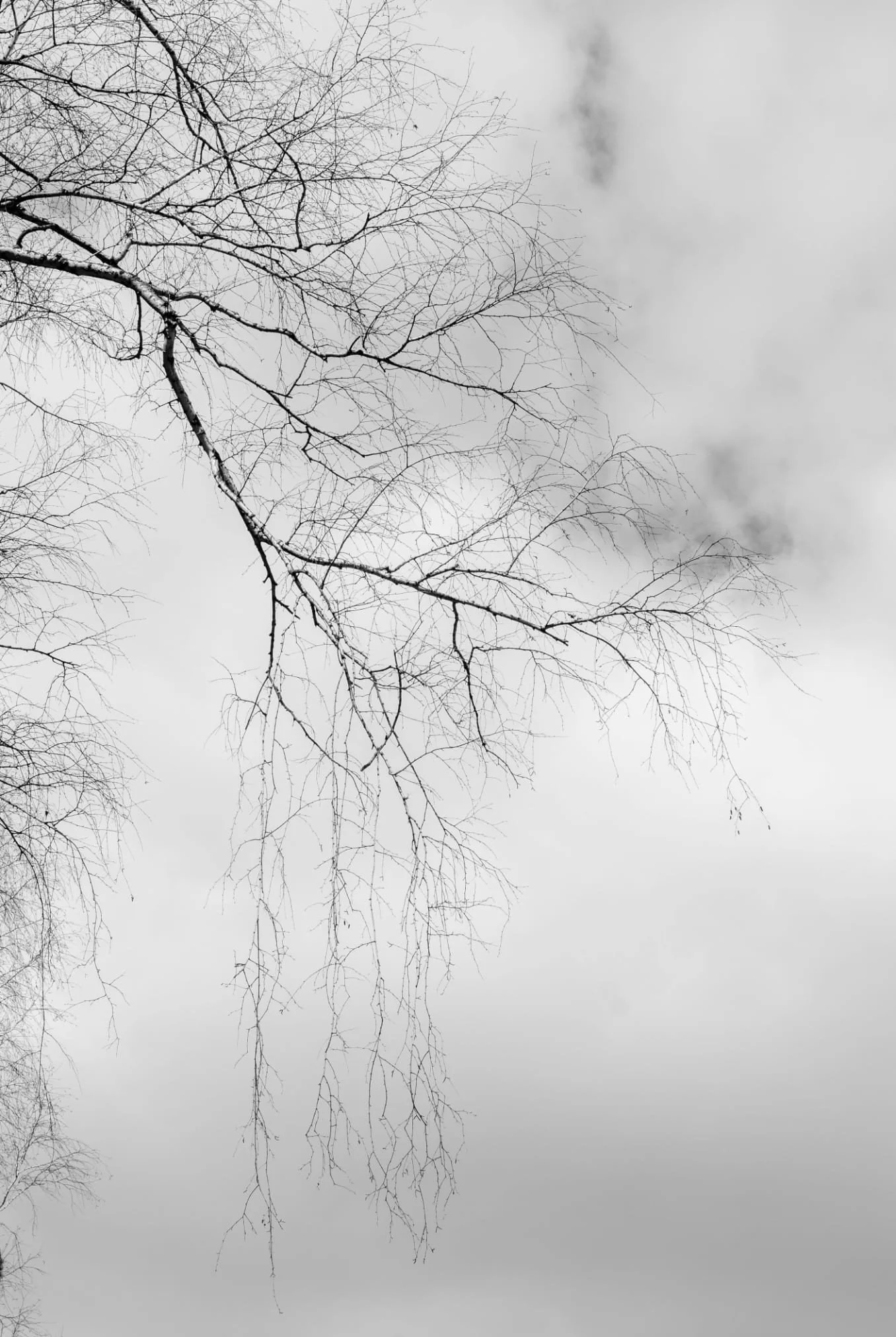 psychodynamic-therapy-psychotherapist-Hook-Norton.jpg