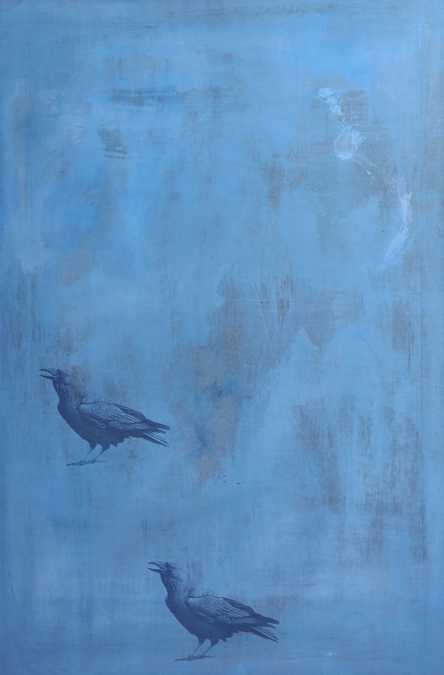 milky skies for difficult crows