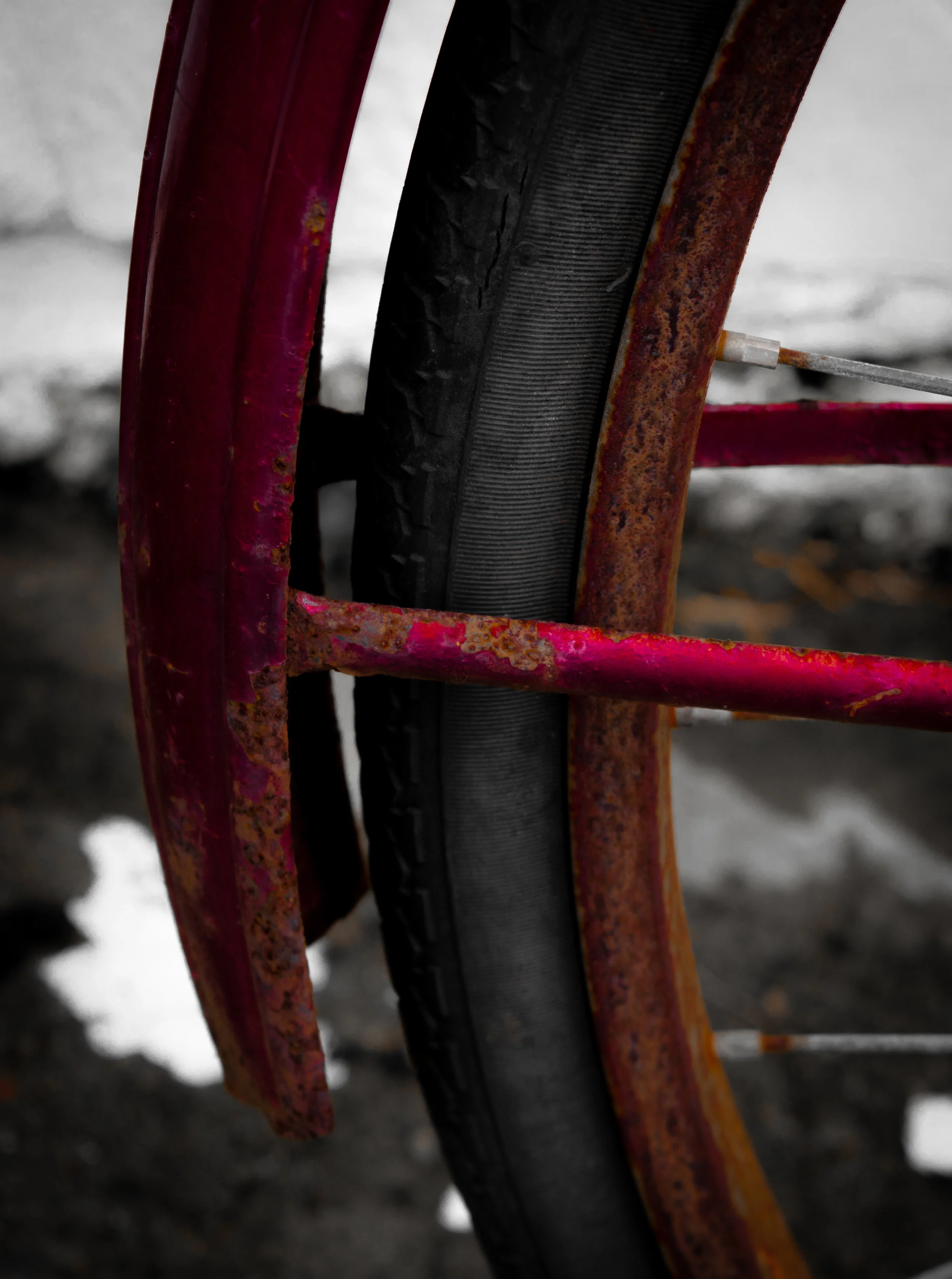 Rear Mudguard....