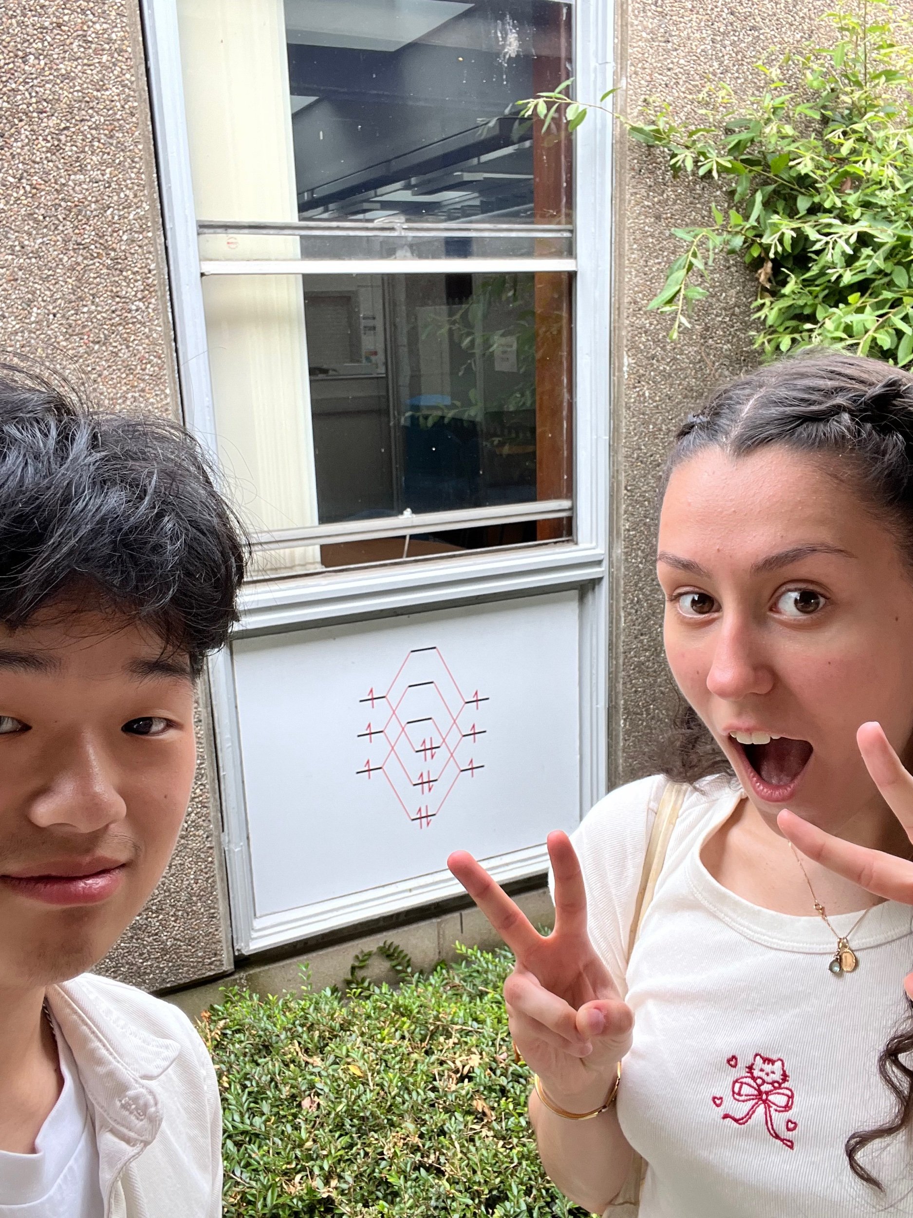 Zhang and Lydia discovered an MO diagram