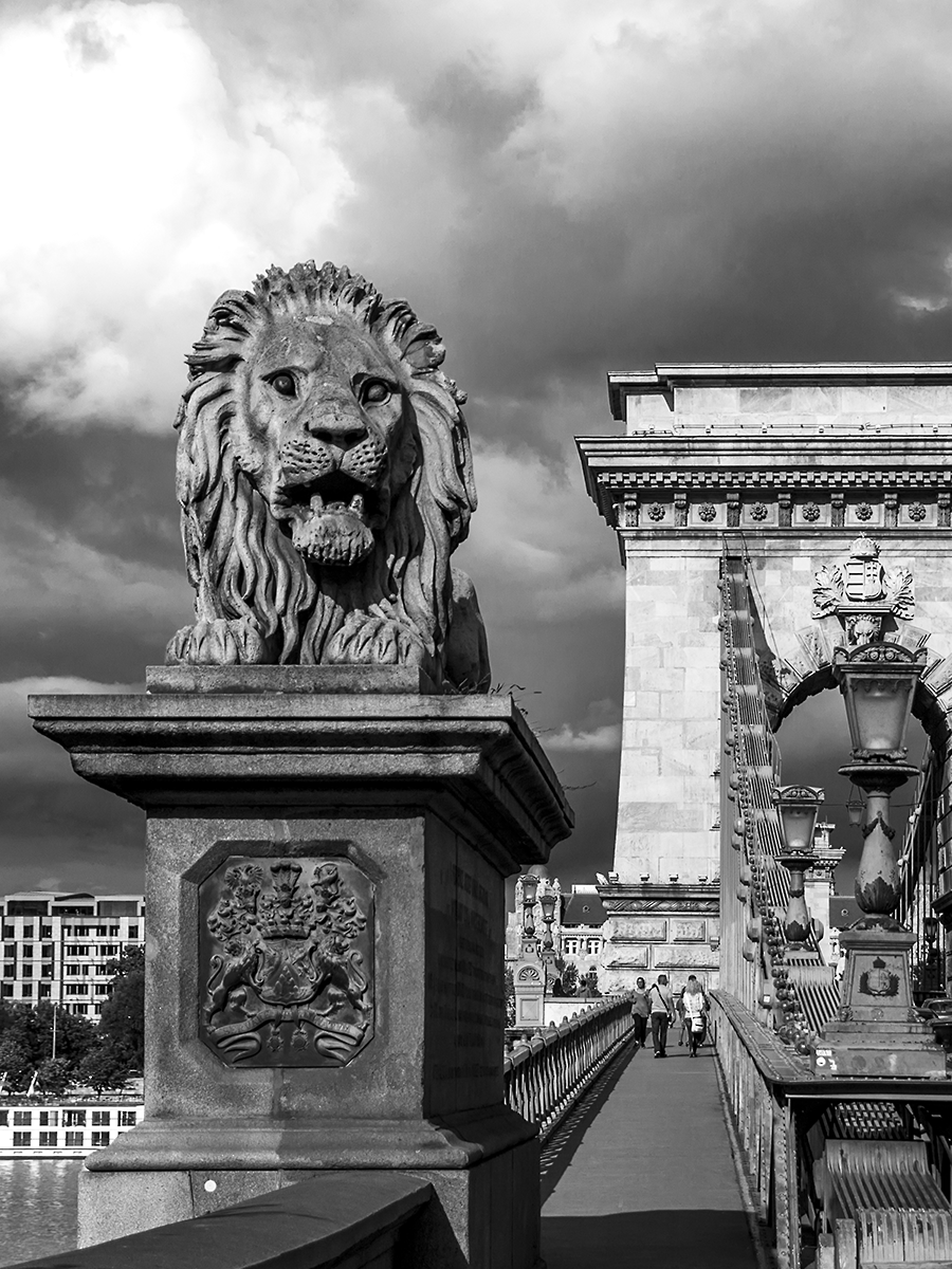 33_IMG_2155_B&W.png