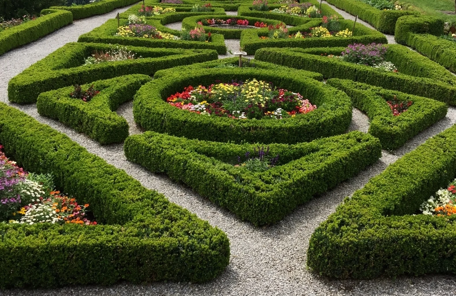 garden-2901376.jpg