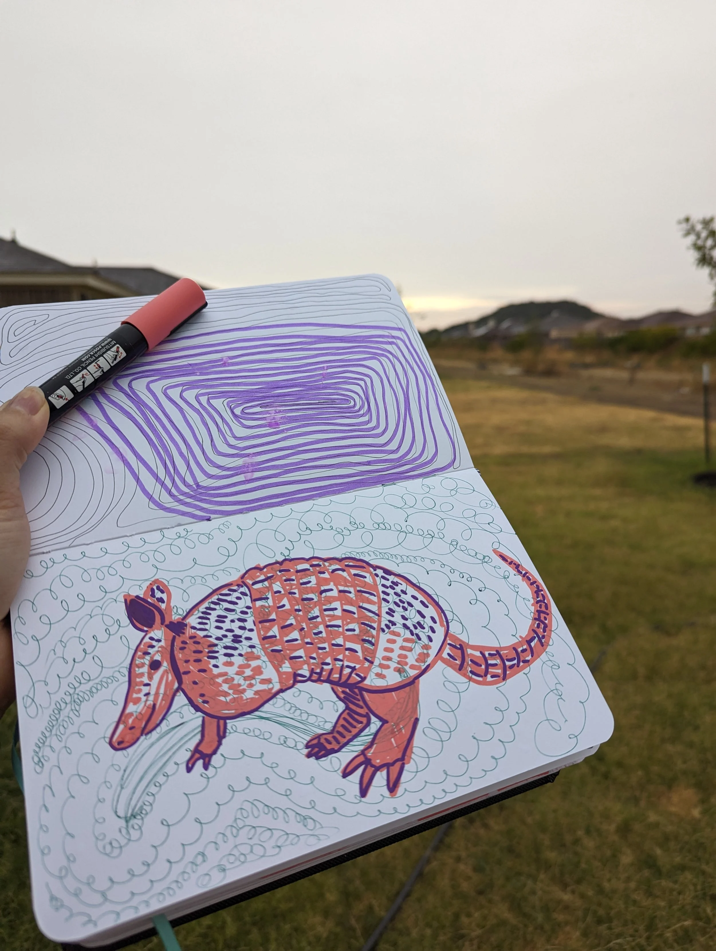 armadillo drawing in peach with purple and expressive lines