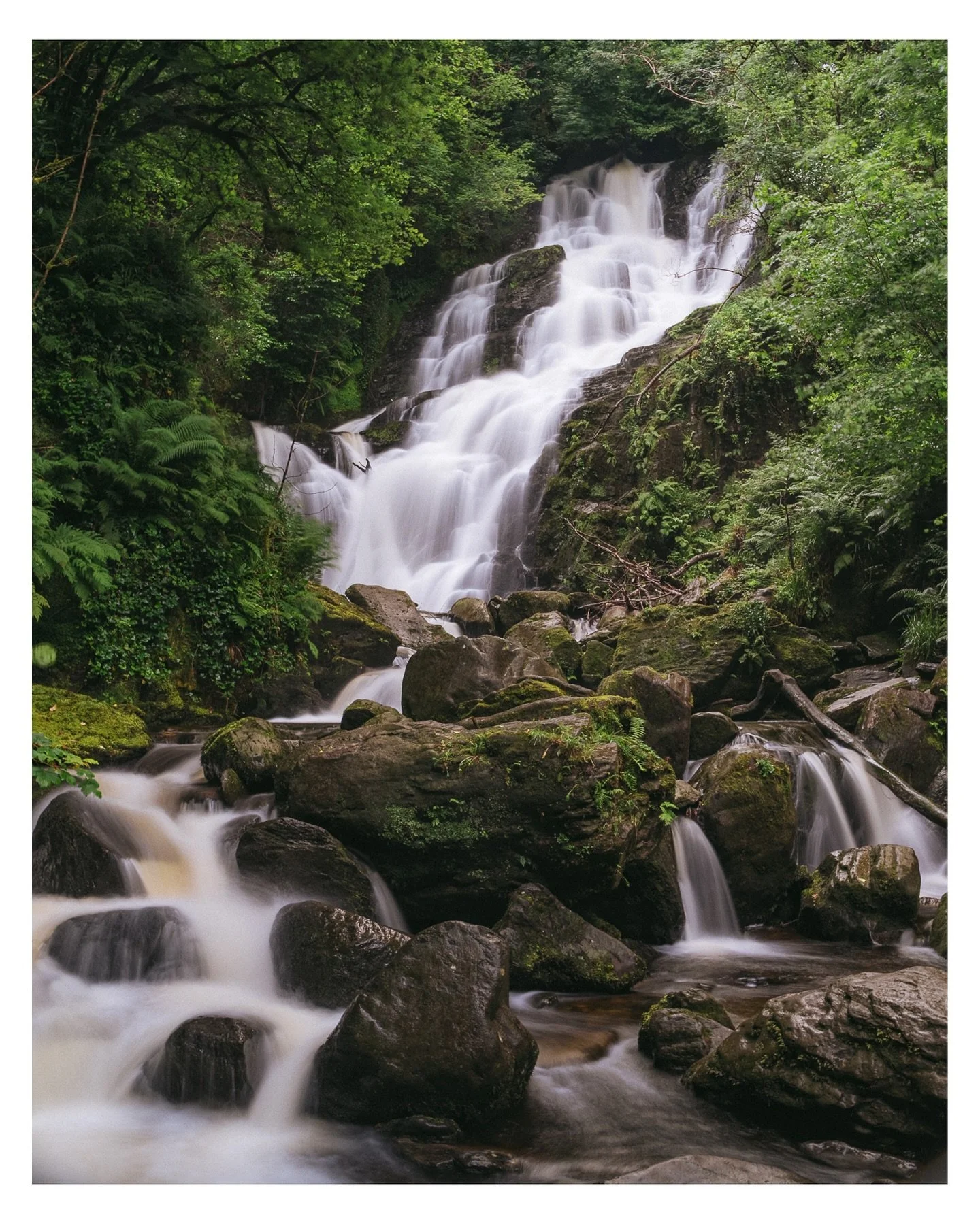 Ireland, Day 4 &ndash; Torc Waterfall 🌿💧

After exploring Muckross House, we squeezed in a short hike over to Torc Waterfall. True to form for this trip, we spent much of it in wind and misty rain &mdash; it even felt like a storm was about to roll