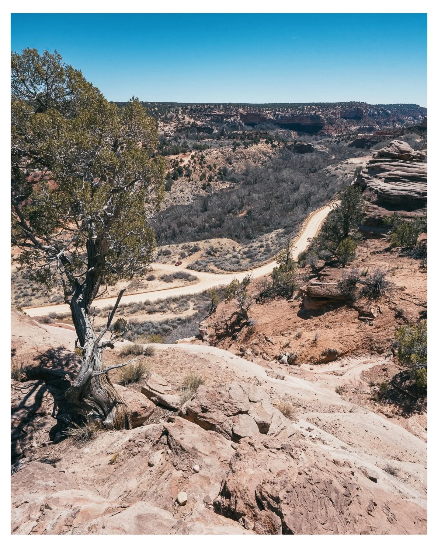 Sometimes the best stops aren&rsquo;t on the itinerary.

On our way across southern Utah last spring we passed a sign for Kanab&hellip; and it suddenly clicked &mdash; this is where Best Friends Animal Sanctuary is.

If you&rsquo;ve ever visited the 