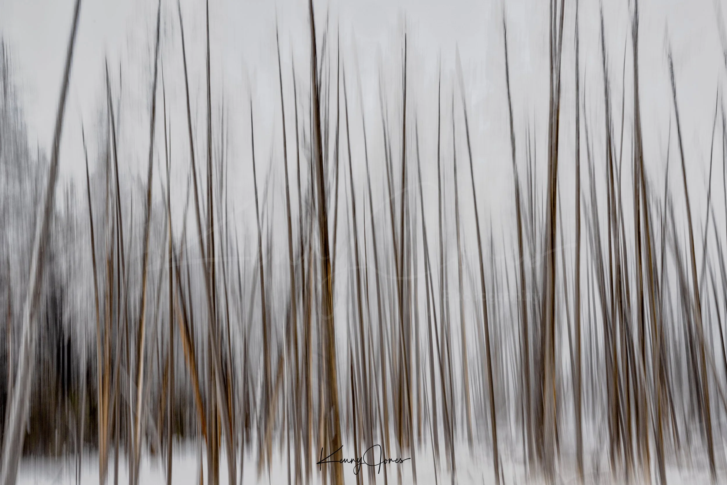 DSC_5851-Edit copy 2.jpg