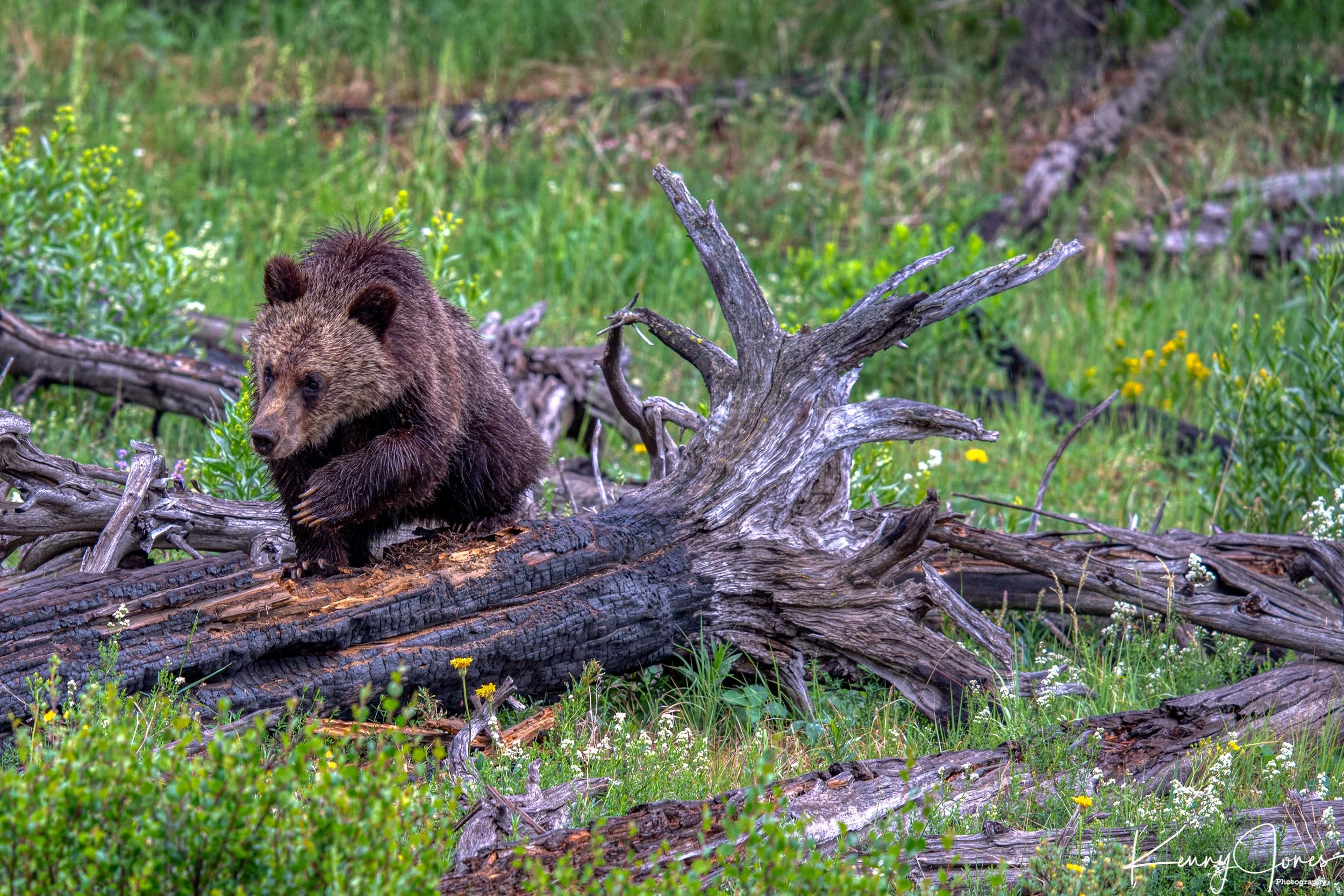 DSC_1815-Edit.jpg