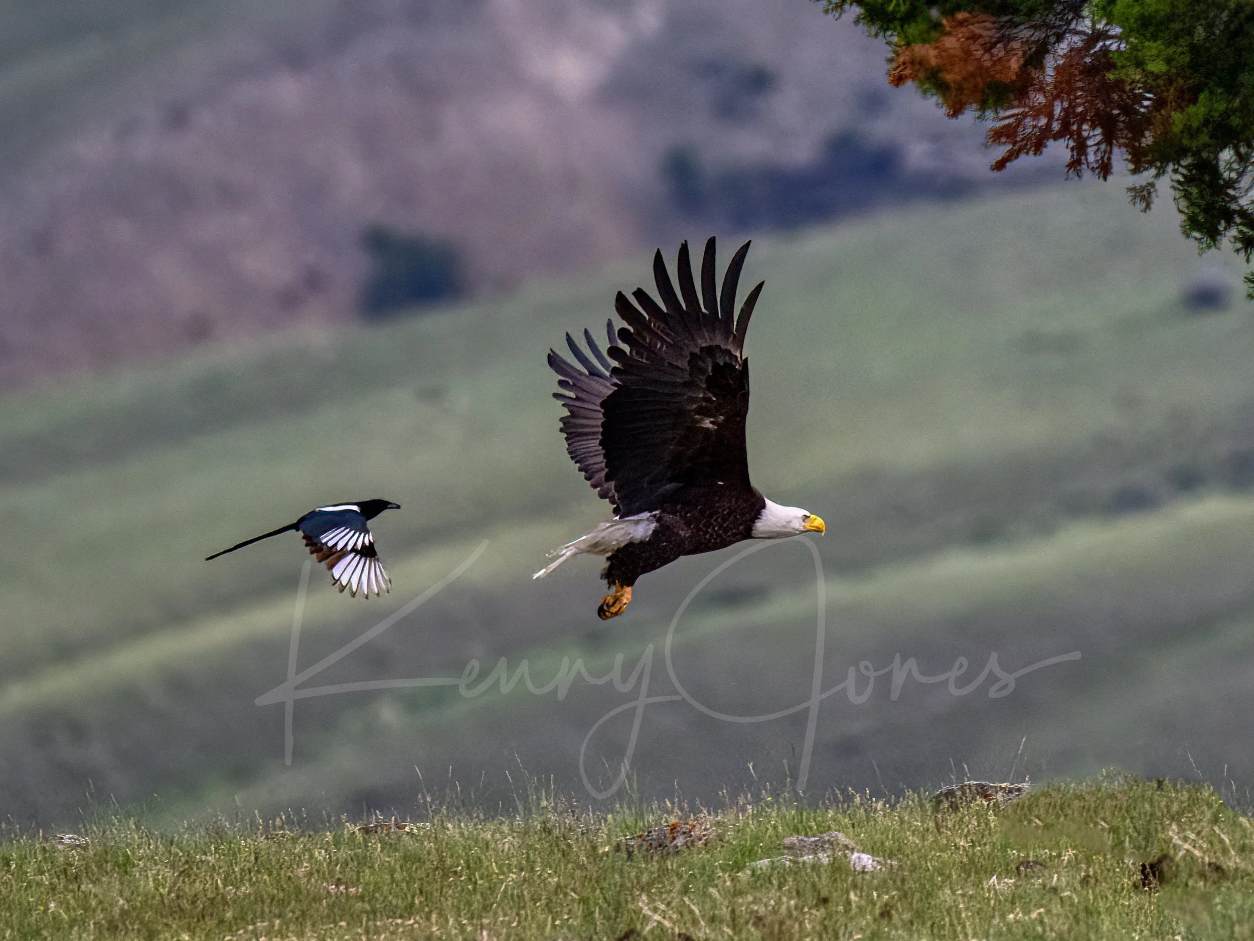 DZ9_2604-Edit-Edit.jpg