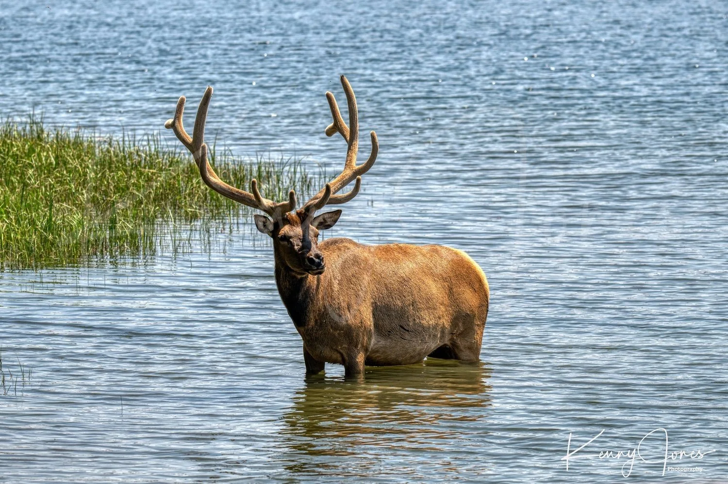 DZ9_7932-Edit.jpg