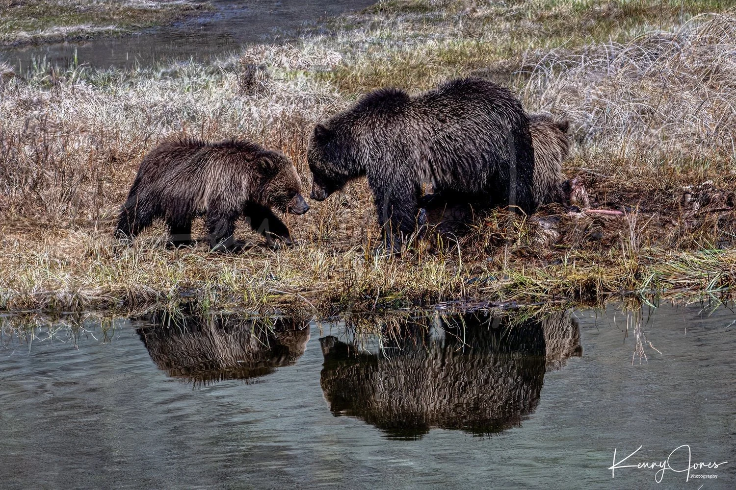 Z92_1548-Edit-Edit.jpg