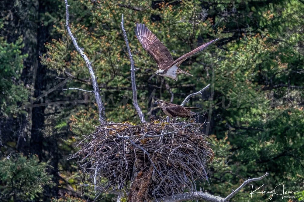 DZ2_6361-Edit-Edit-2.jpg