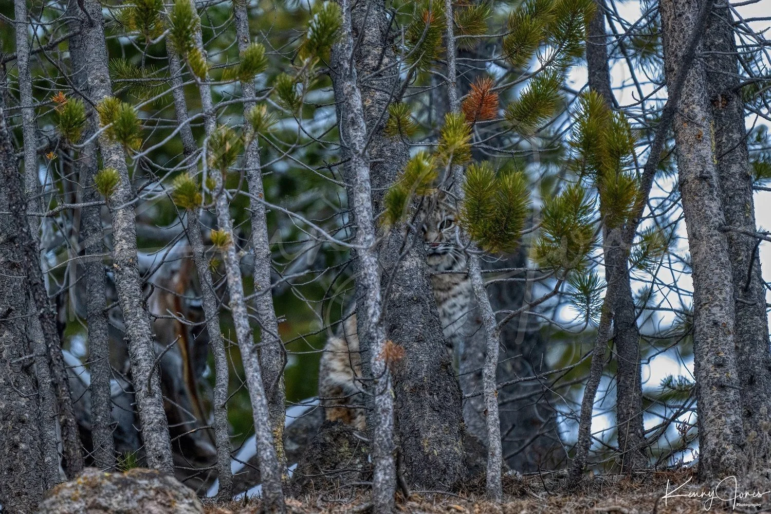 DZ9_3531-Edit-Edit+copy.jpg